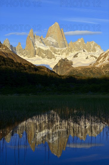 Cerro Fitz Roy in the morning light is reflected in Lago de Los Tres