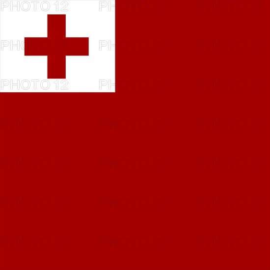 Official national flag of Tonga