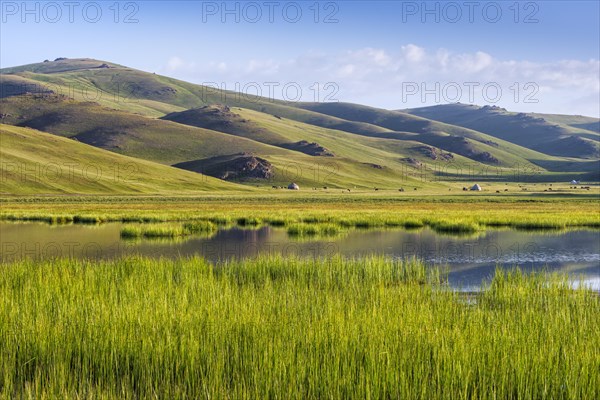 Reed on Song Kol Lake