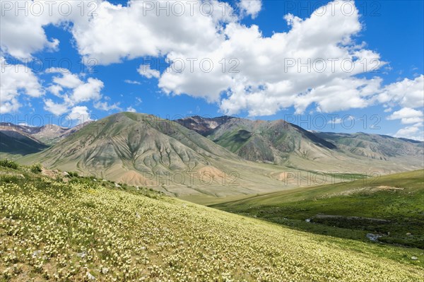 Road to Song Kol Lake