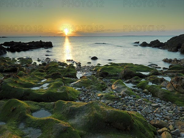 Overgrown rocks on the beach