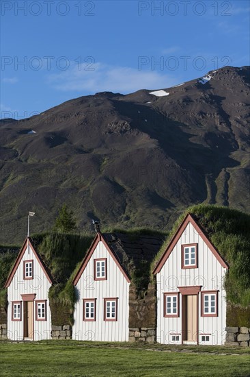 Old icelandic turf houses Laufas