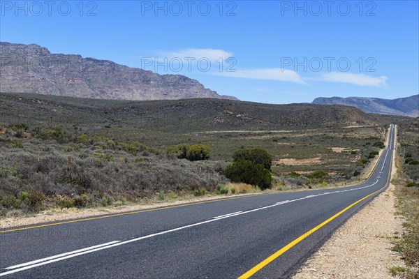 Road near Barrydale through the Little Karoo