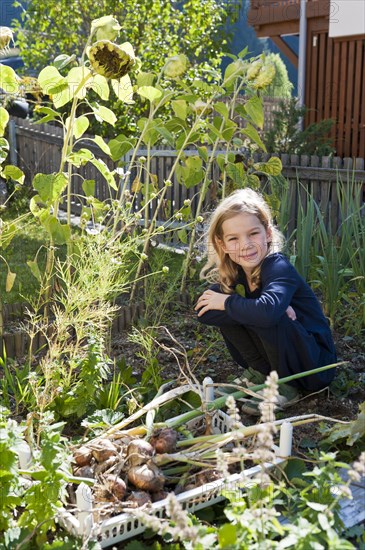 Little girl harvests onions in the garden