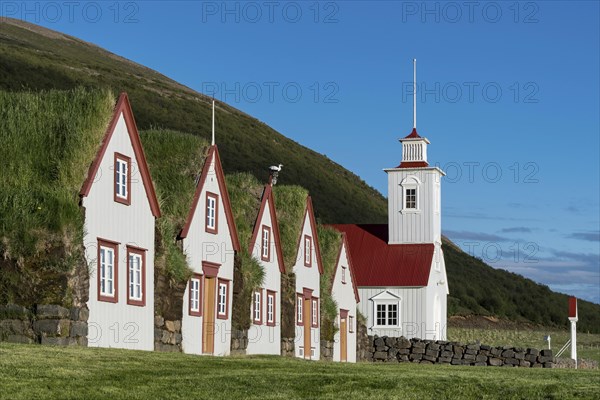 Old icelandic turf houses Laufas