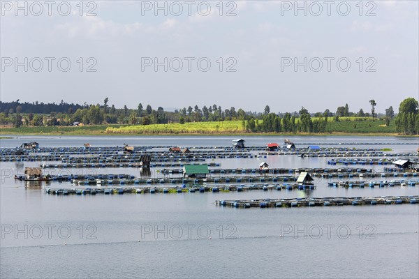 Freshwater fish farm in Lam Pao River