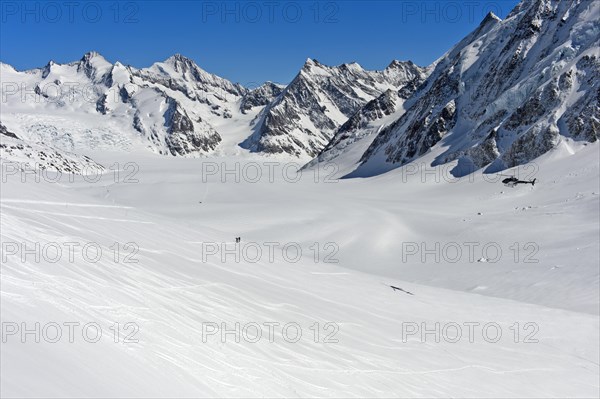 View from the Lotschenlucke over the snow-covered Grosser Aletschfirn towards Konkordiaplatz and the Bernese Alps