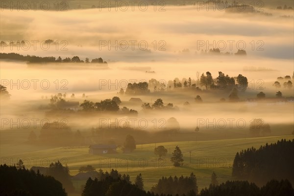 Hilly landscape with morning fog