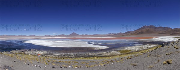 Play of colours of the Laguna Colorada