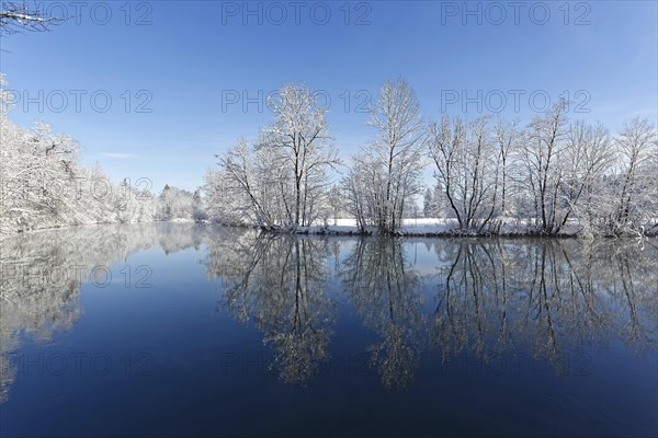 River Loisach with snow-covered trees on the banks