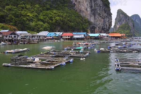 Caging facilities for live fish in the Muslim stilted village Koh Panyi