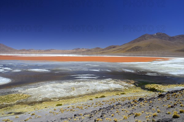 Play of colours of the Laguna Colorada