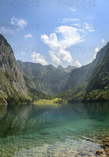 Obersee