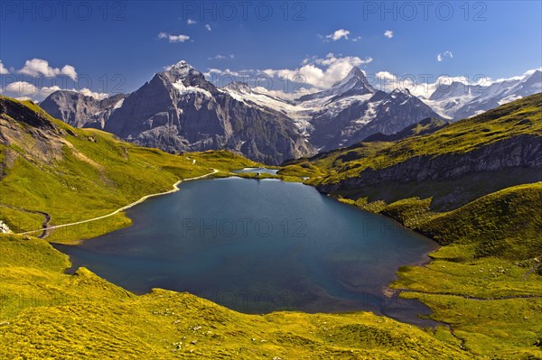 Alpine landscape with lake Bachalpsee and the summit Wetterhorn