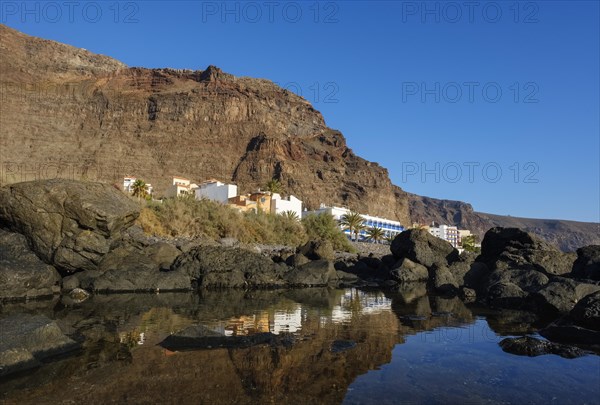 Tidal Pool