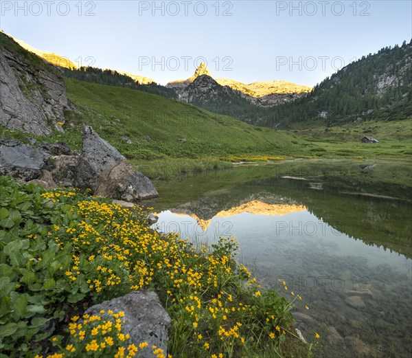 Schottmalhorn reflected in lake Funtensee at sunset