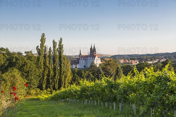 Albrechtsburg Castle and Cathedral of the Cat Steps in Proschwitz