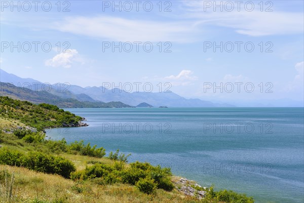 South shore of Lake Skadar