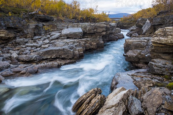 Autumnal Abisko Canyon