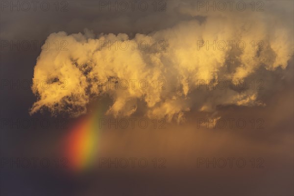 Evening thunderstorm with Cumulonimbus cloud and rainbow above a sand dune