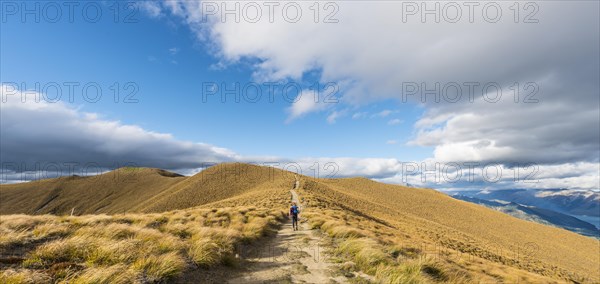 Female hiker on hiking trail to Isthmus Peak