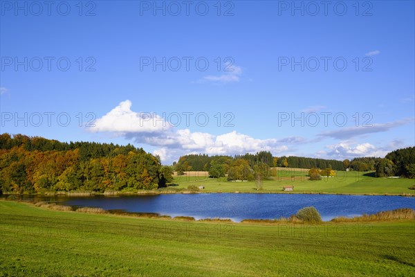 Sonderhamer Weiher - Photo12-imageBROKER-Martin Siepmann