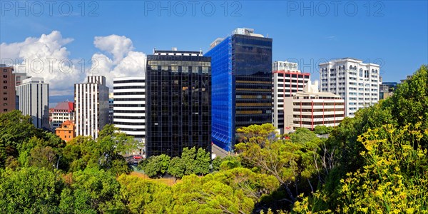 Wellington skyline