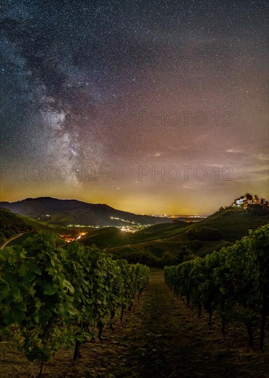 Milky Way over wine growing region