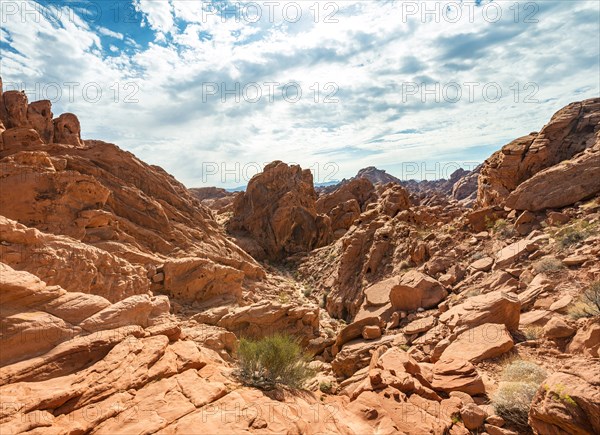 Rainbow Vista Trail