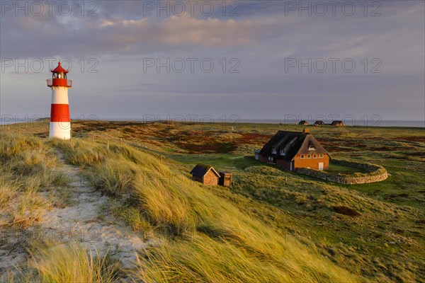 Lighthouse List-Ost with typical Frisian houses with thatched roof