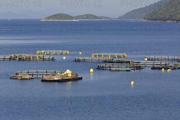 Fish farming Riba Mljet