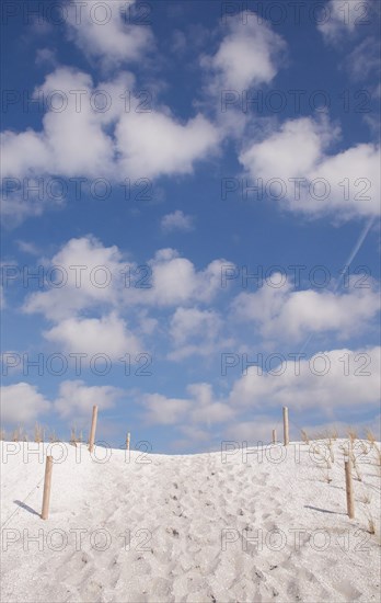 Dune from mussel sand