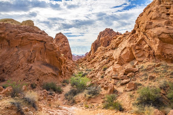 Rainbow Vista Trail