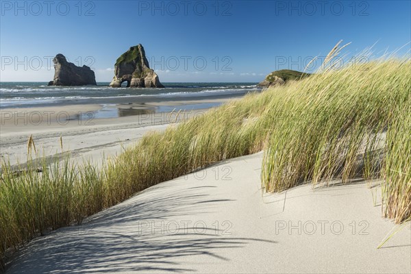 Grassy dune rock island Wharariki Beach