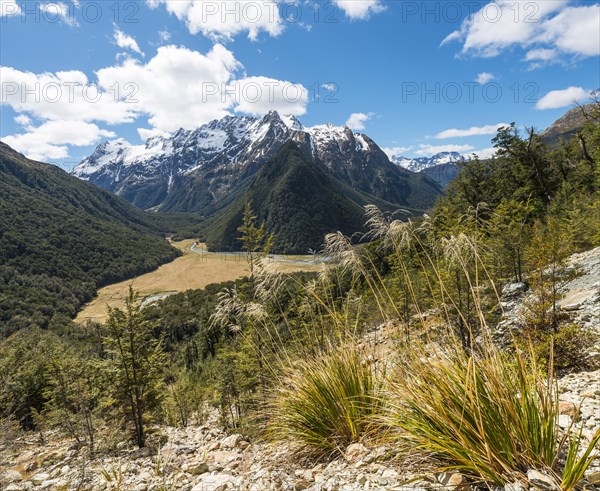 View on the Routeburn Flats