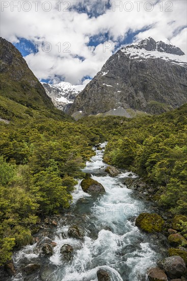 Hollyford River flowing through Fiordland National Park