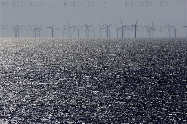 Offshore wind farm