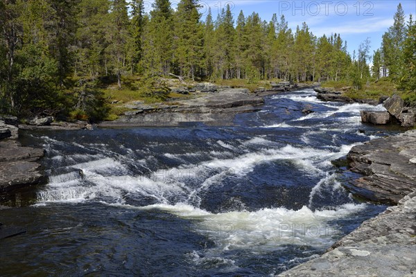 Rapids in River Rovran