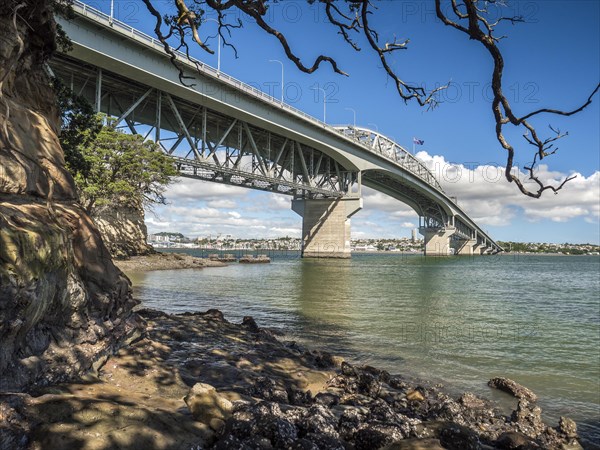 Harbor Bridge with skyline