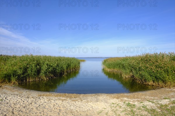 Backwaters near Balm in Benz