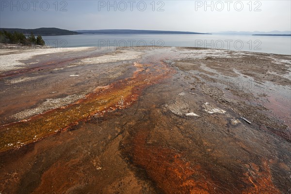 Mineral deposits in the West Thumb Geyser Basin