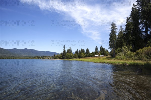 Lake Quinault near Quinault