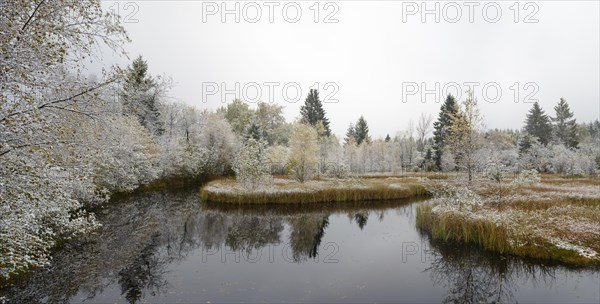 Moor lake near Mutzenich