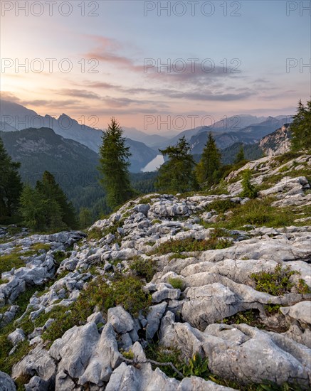 Mountain landscape