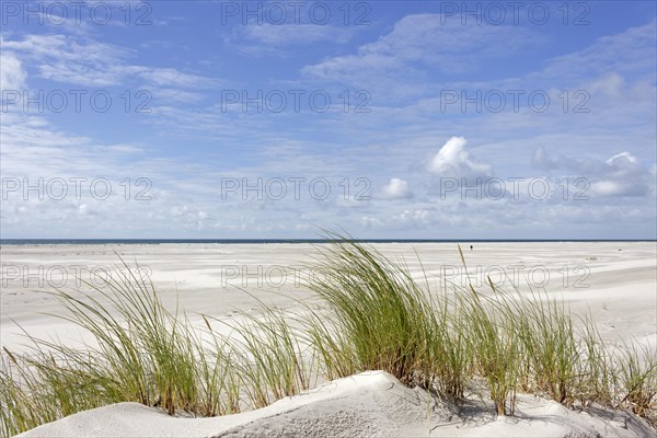 Dunes with sandy beach