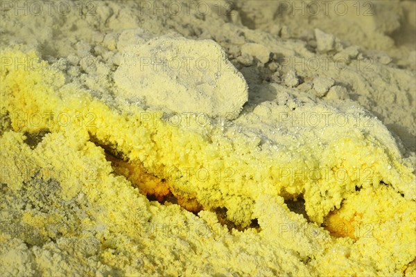 Sulphur fumaroles on the Gran Cratere