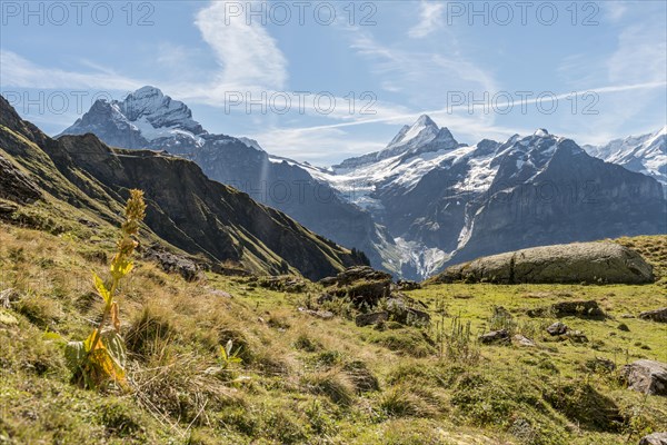 Hiker on a rock