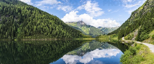 Forest and mountains