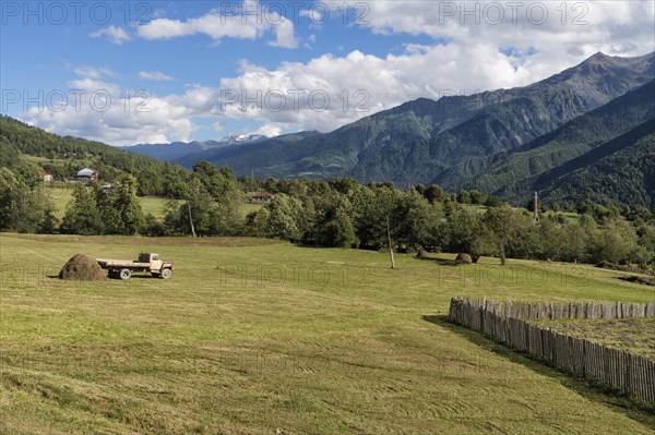 Bucolic scenery