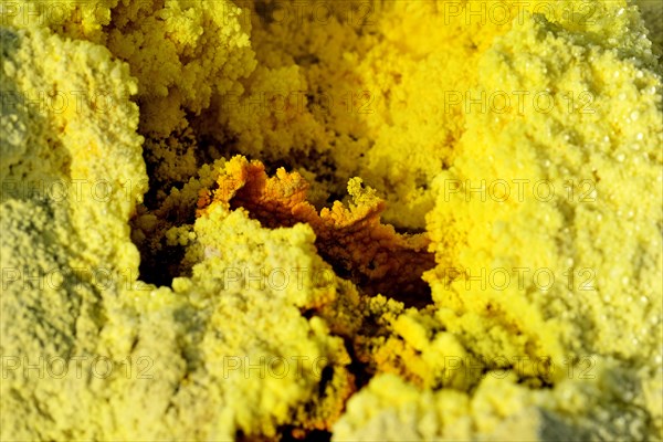 Sulphur fumaroles on the Gran Cratere